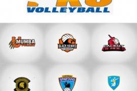 Pro Volleyball League names franchises owners