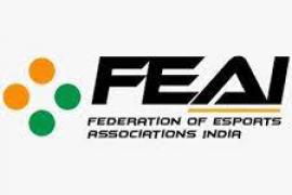 FEAI logo