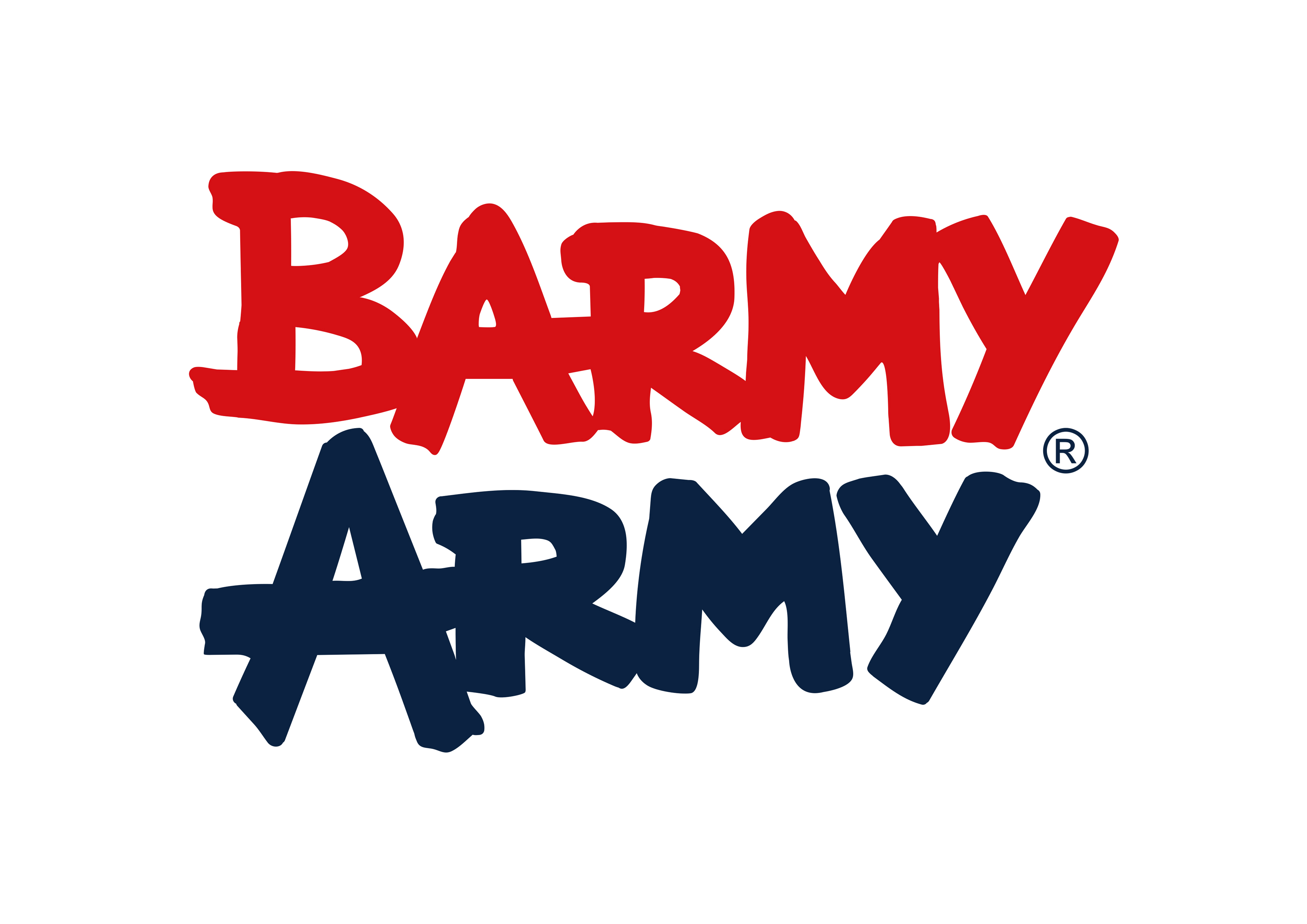 barmy army logo