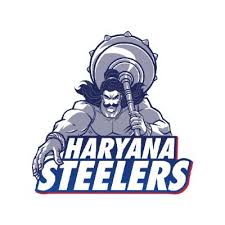 Haryana Steelers logo new