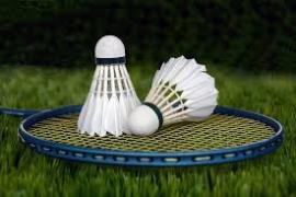 Badminton generic