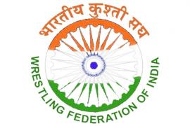 wrestling federation logo