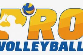 pro volleyball logo