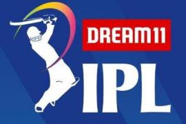 Dream11 IPL 2020 logo