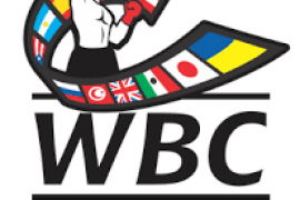 World Boxing Council logo