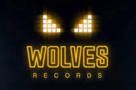 Wolverhampton Wanderers Wolves Records