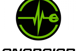 Energica logo