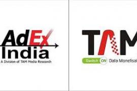 TAM ADEX combo logo